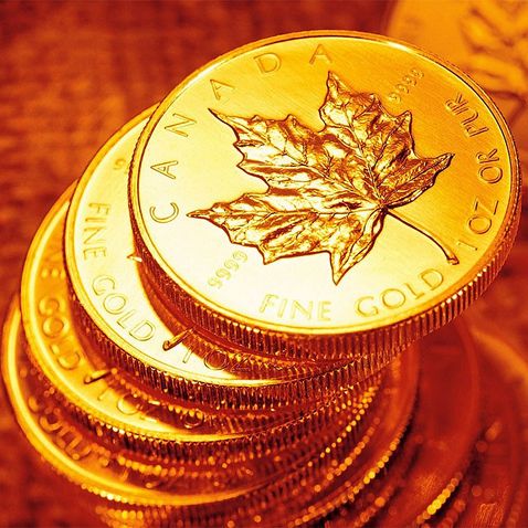 10x 1oz Maple Leaf